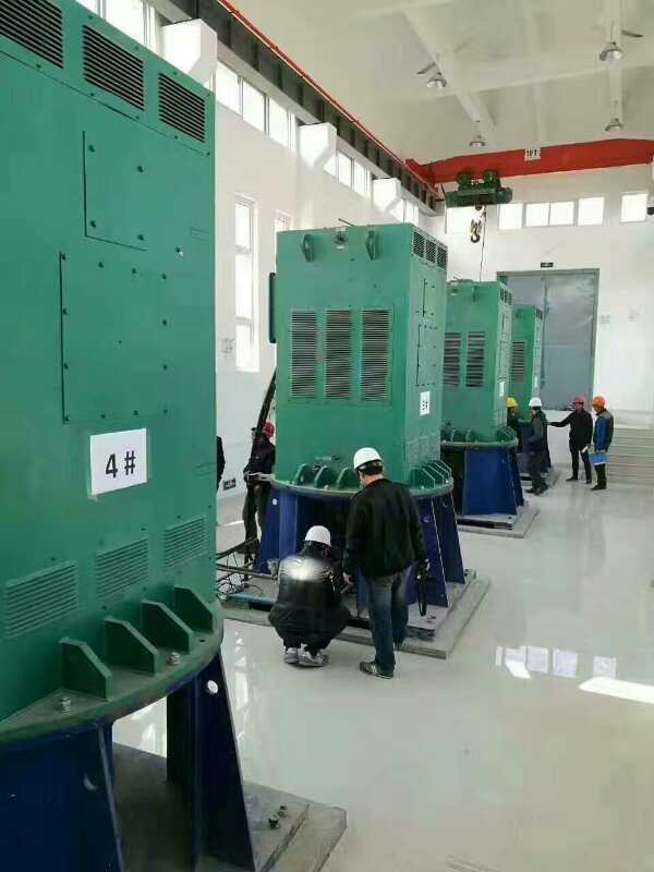 YR800-4某污水处理厂使用我厂的立式高压电机安装现场