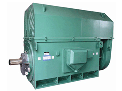 YR800-4Y系列6KV高压电机